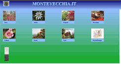 Desktop Screenshot of montevecchia.it
