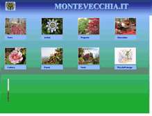 Tablet Screenshot of montevecchia.it